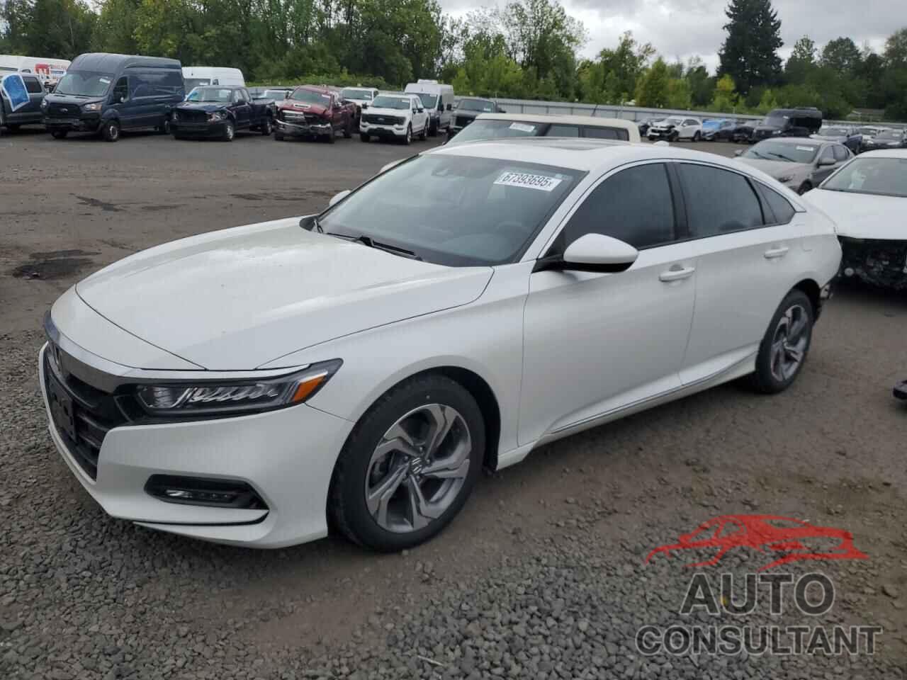 HONDA ACCORD 2019 - 1HGCV1F49KA166756