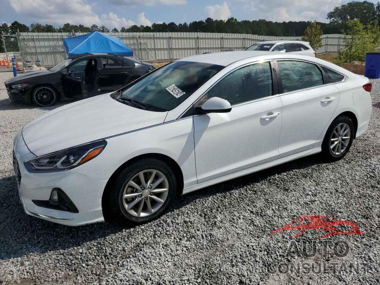 HYUNDAI SONATA 2019 - 5NPE24AF9KH771069