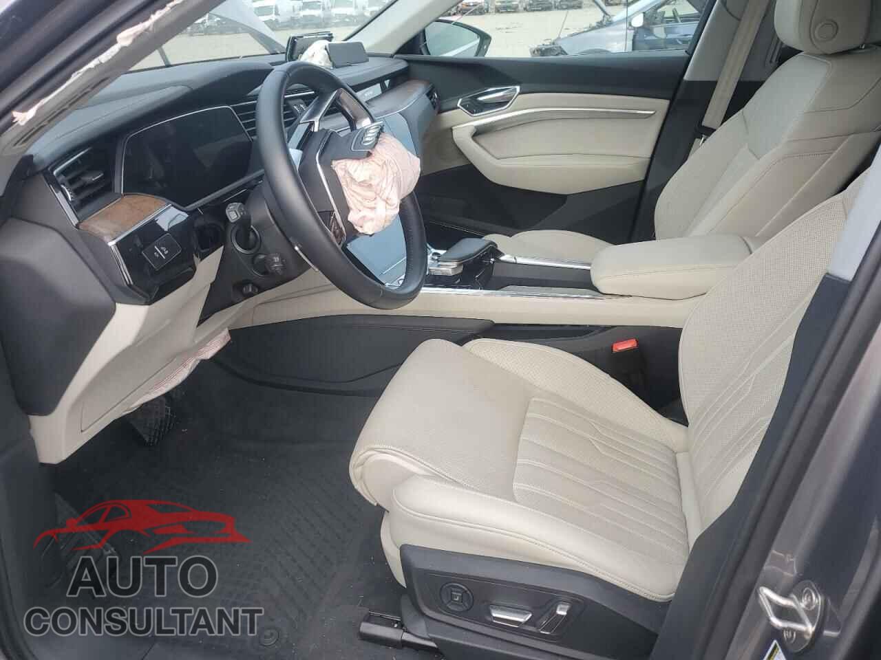 AUDI E-TRON 2019 - WA1VAAGE4KB005603