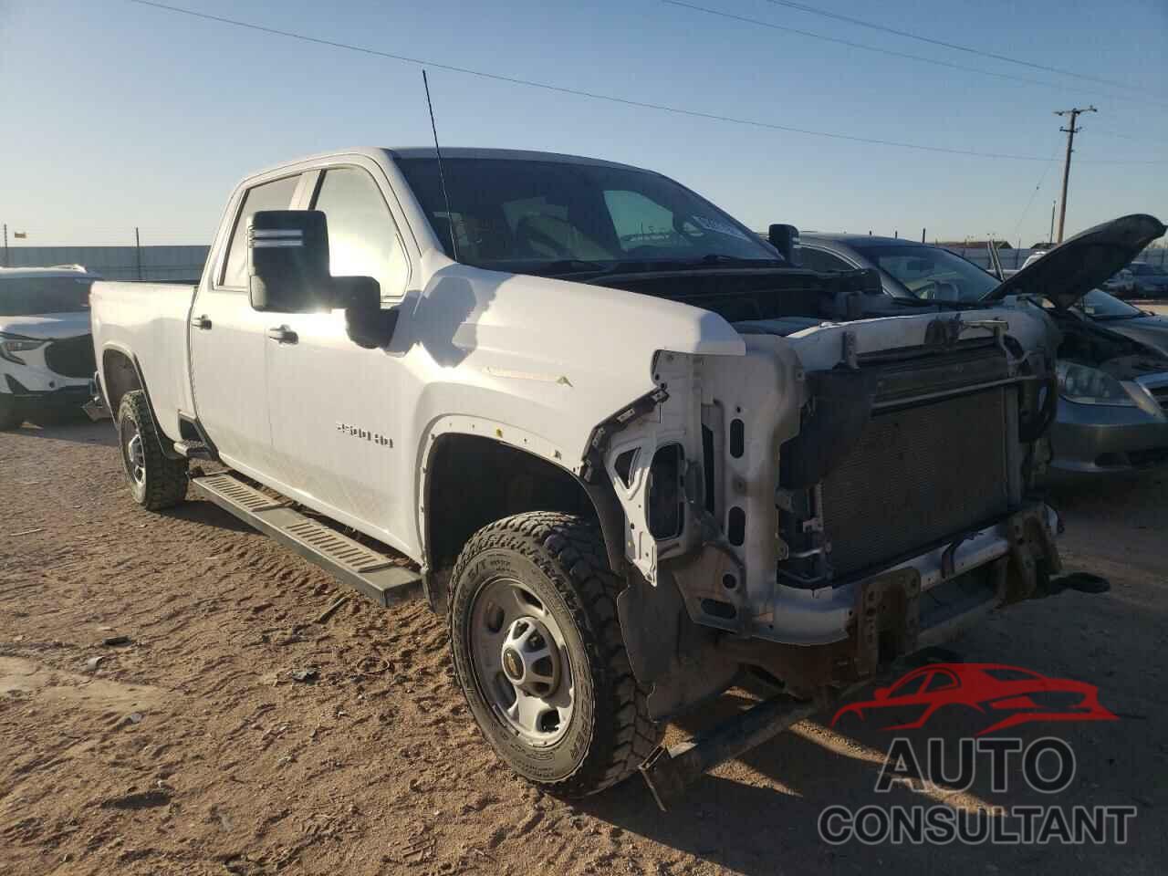 CHEVROLET SILVERADO 2020 - 1GC4YLE79LF306617