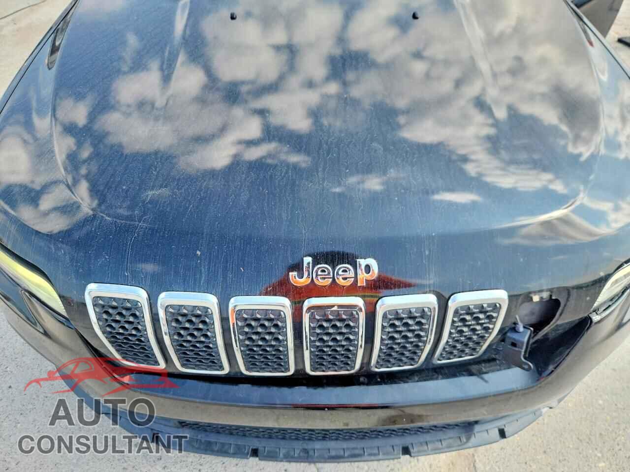 JEEP CHEROKEE 2019 - 1C4PJLDBXKD346416