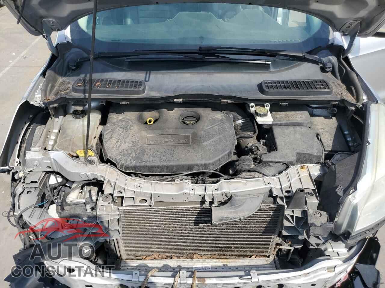 FORD ESCAPE 2014 - 1FMCU9J91EUE08053