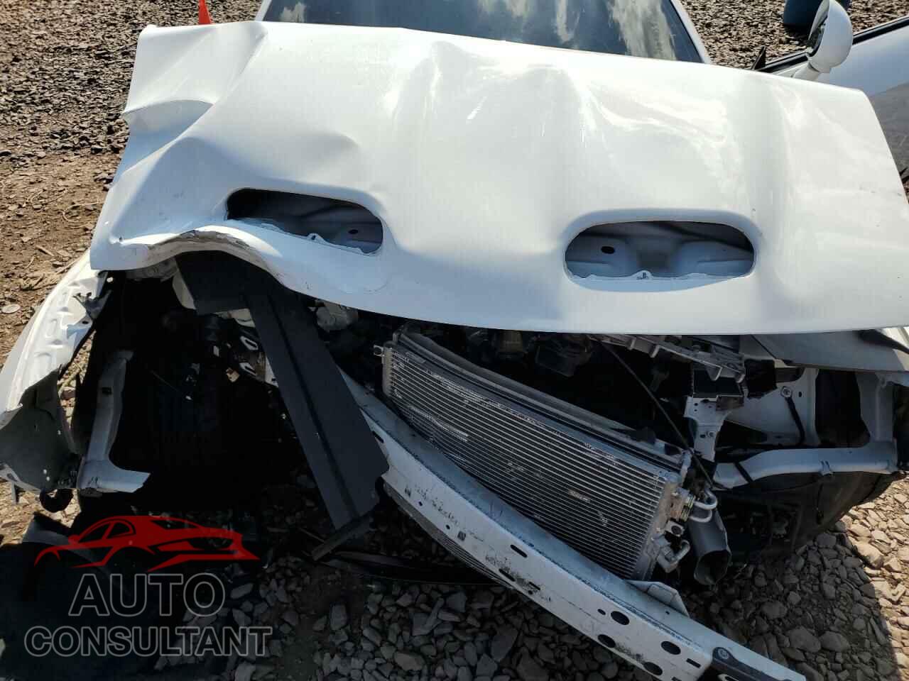 DODGE CHALLENGER 2019 - 2C3CDZFJ1KH636029