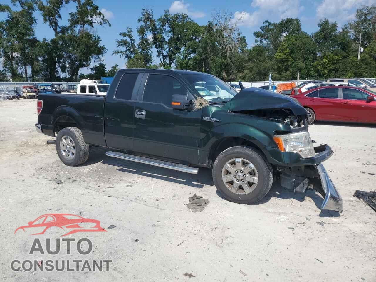 FORD F-150 2013 - 1FTFX1CF2DFA72249
