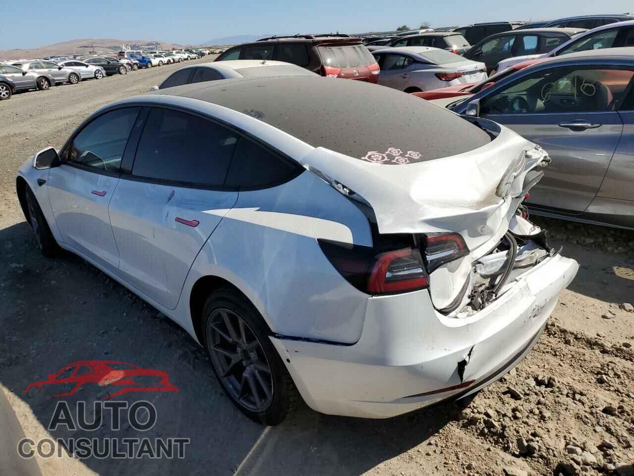 TESLA MODEL 3 2021 - 5YJ3E1EA2MF071701