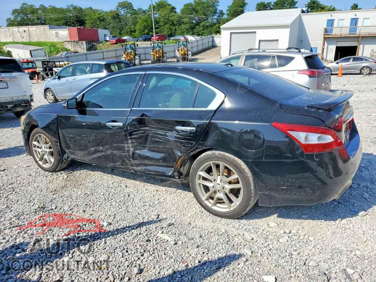 NISSAN MAXIMA 2011 - 1N4AA5AP3BC807517