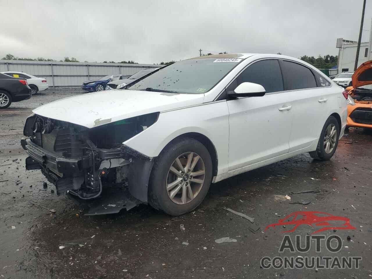 HYUNDAI SONATA 2016 - 5NPE24AF4GH363490