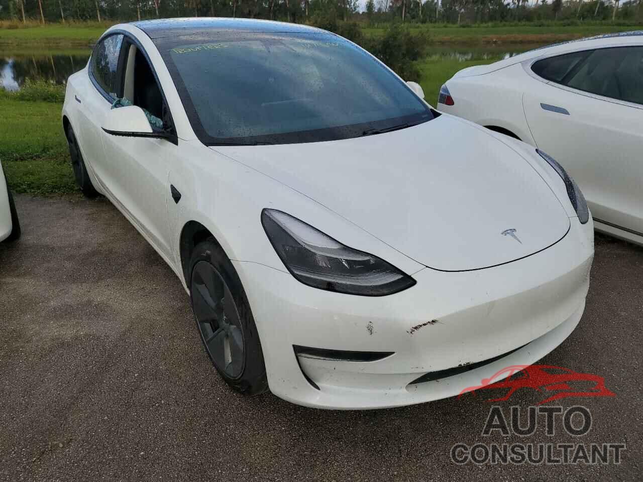 TESLA MODEL 3 2021 - 5YJ3E1EA6MF911608