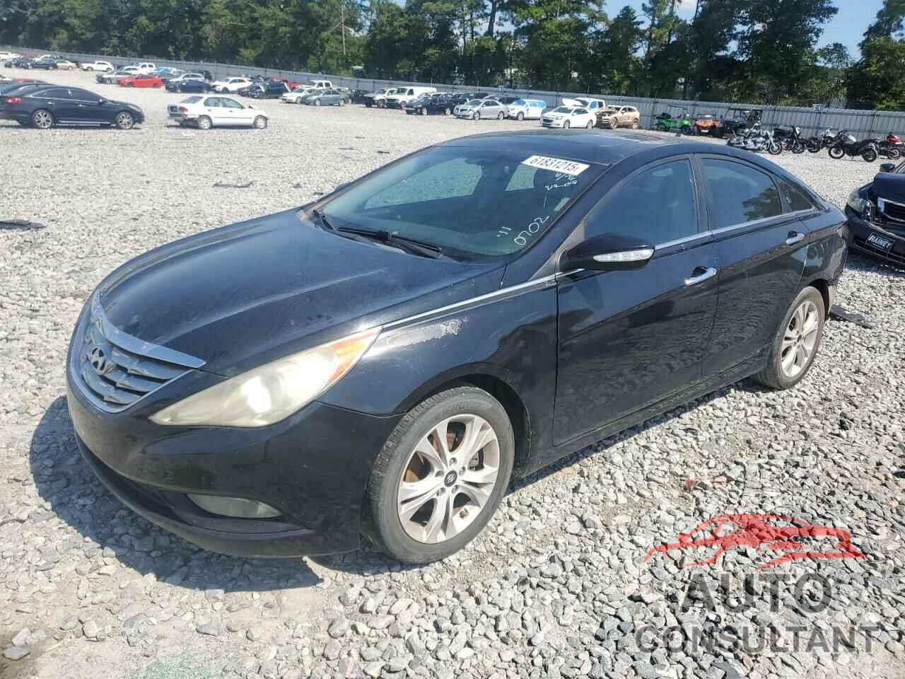 HYUNDAI SONATA 2011 - 5NPEC4AC1BH120702