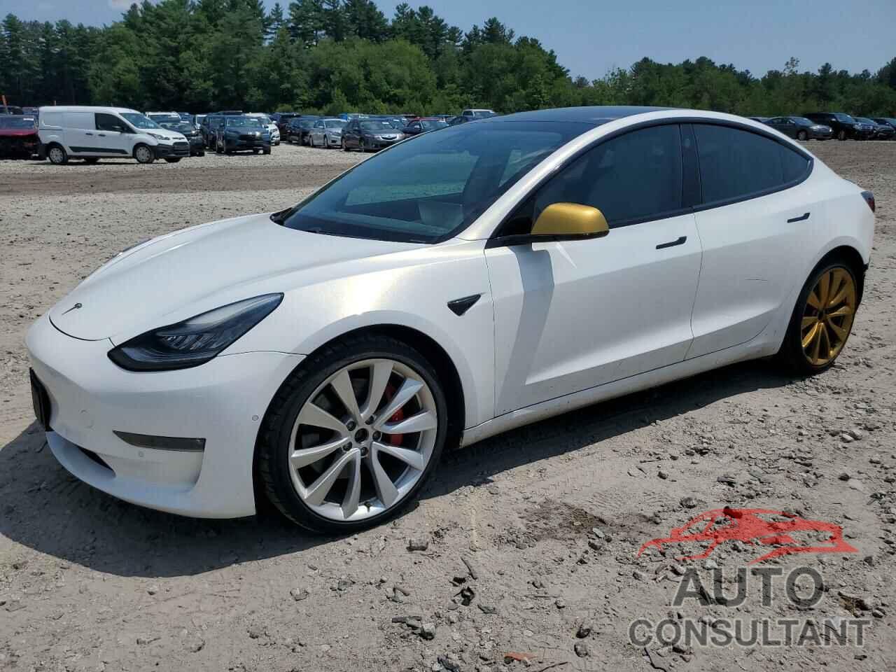 TESLA MODEL 3 2019 - 5YJ3E1EB0KF487588