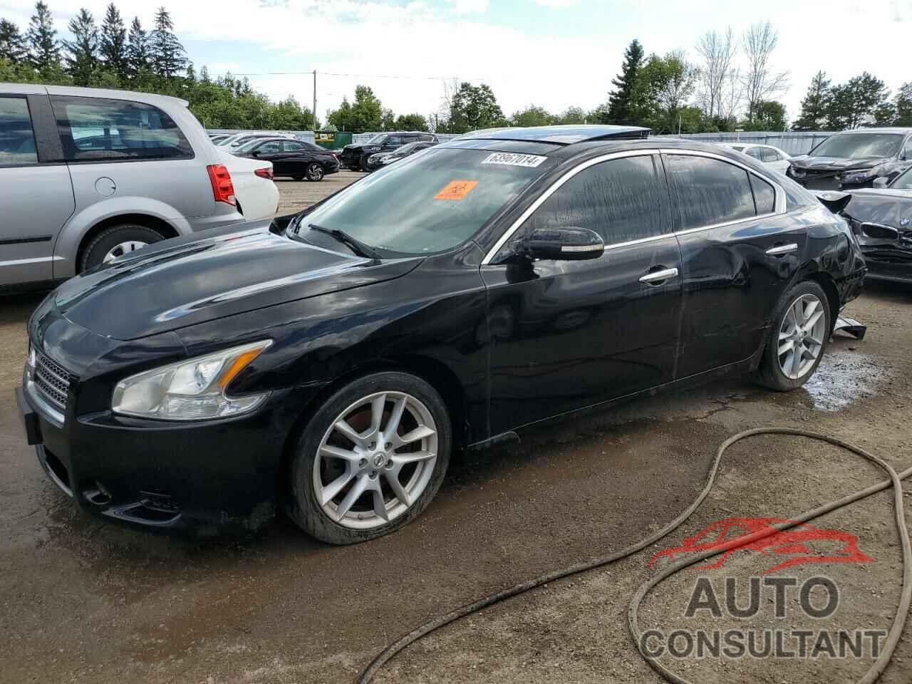 NISSAN MAXIMA 2010 - 1N4AA5AP6AC871565