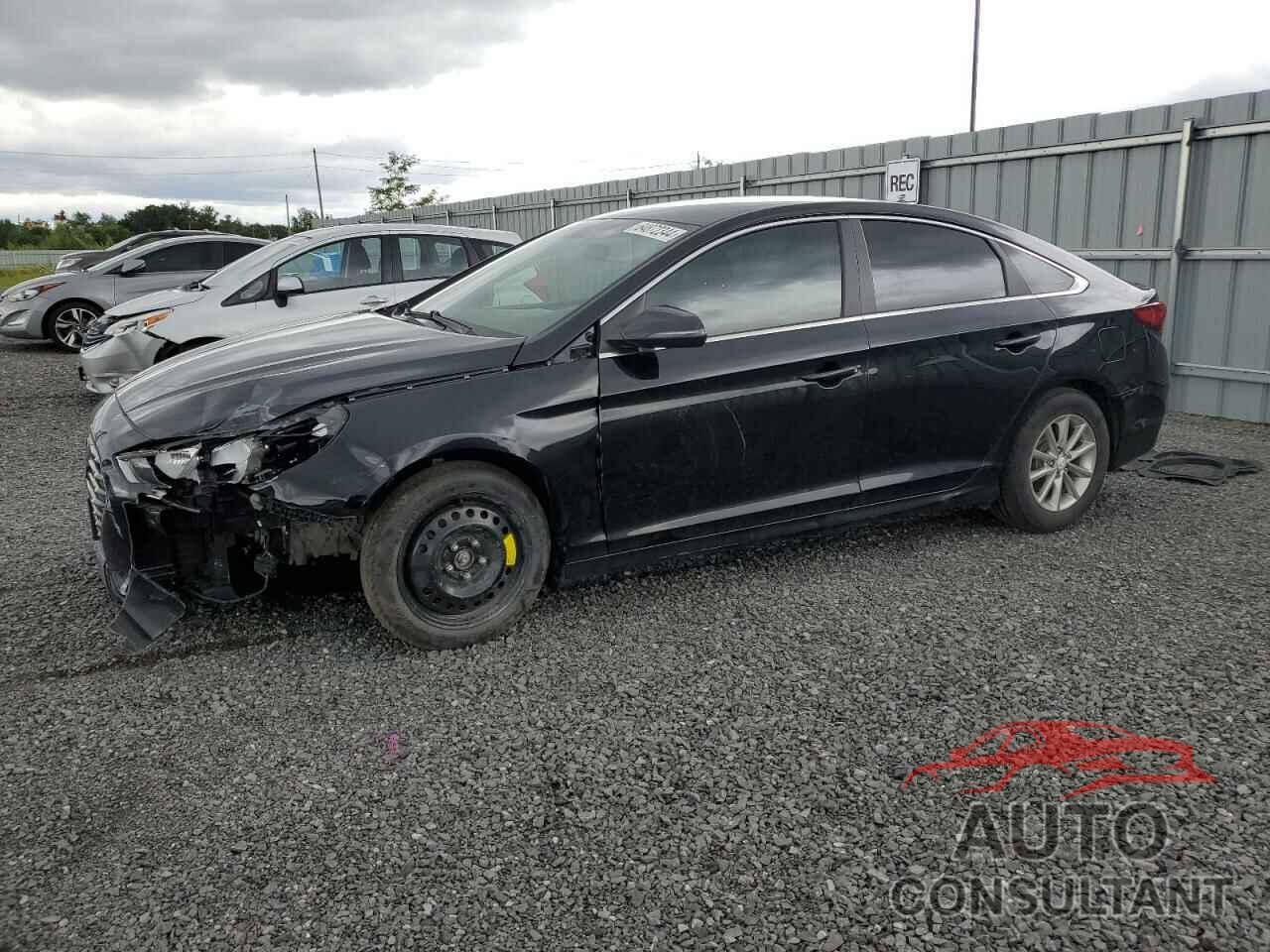 HYUNDAI SONATA 2019 - 5NPE24AF5KH765057