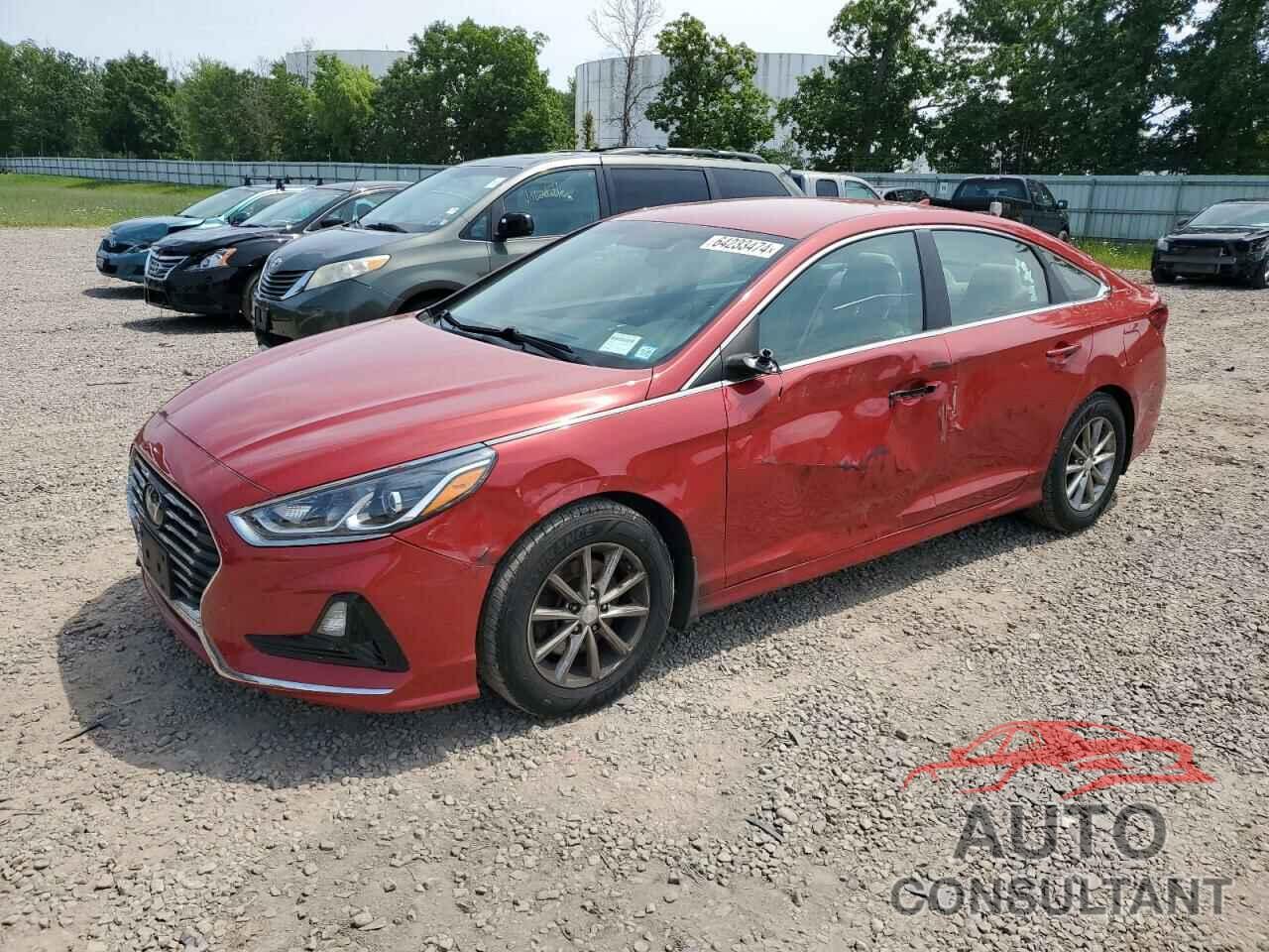 HYUNDAI SONATA 2019 - 5NPE24AF2KH796329