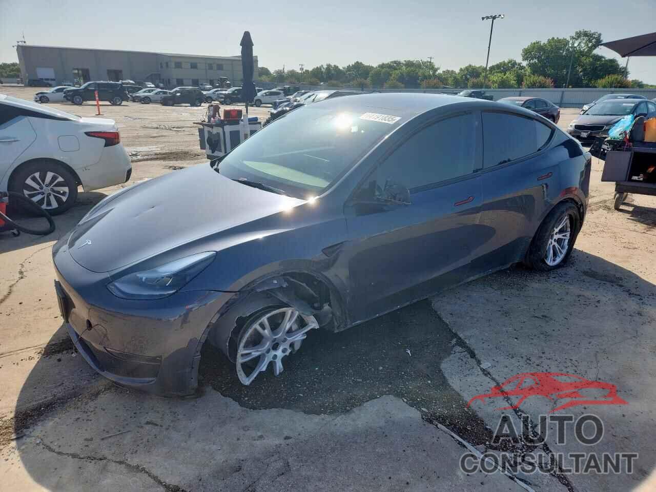TESLA MODEL Y 2021 - 5YJYGDEE7MF087851