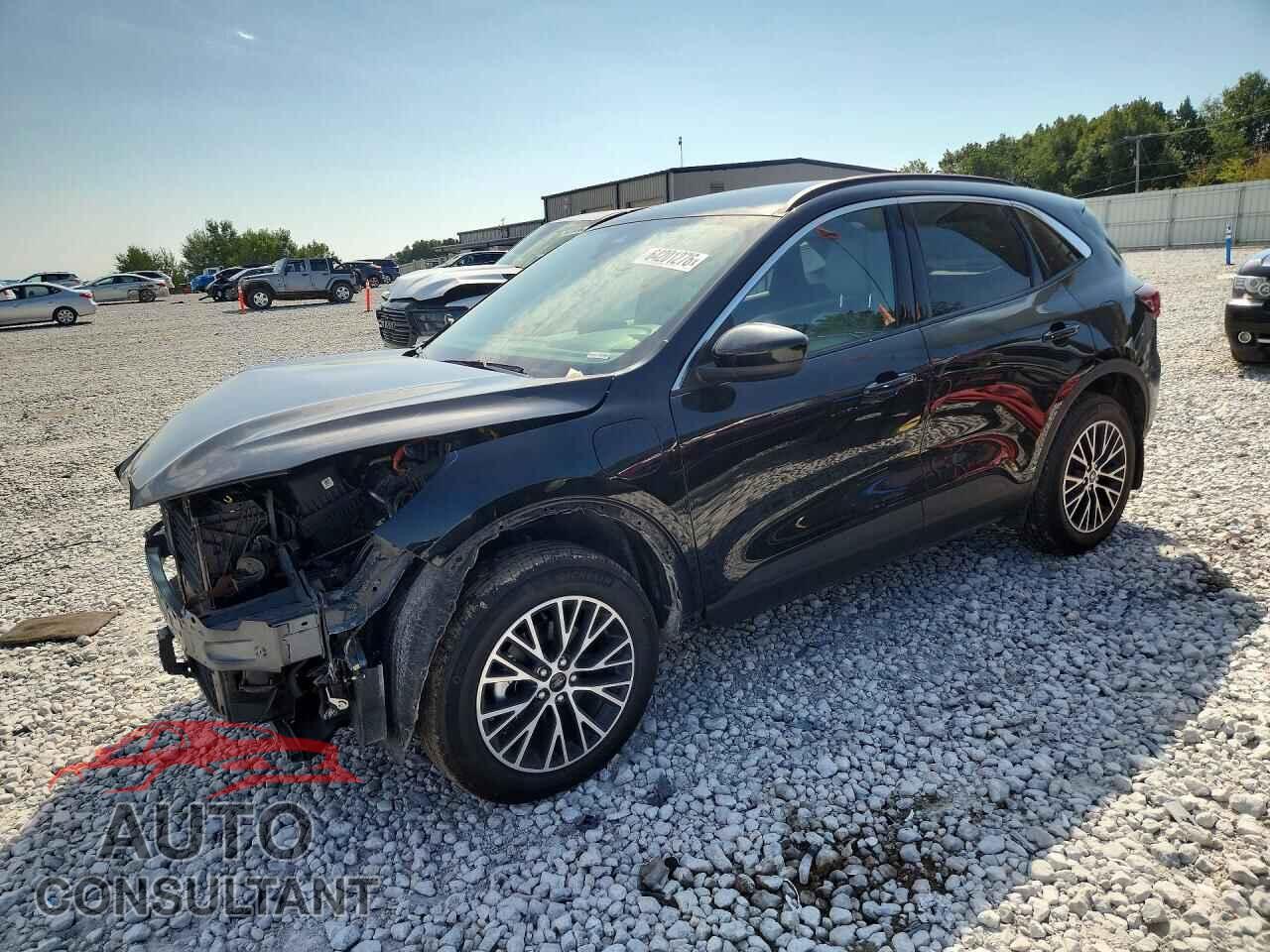 FORD ESCAPE 2024 - 1FMCU0E1XRUA89211