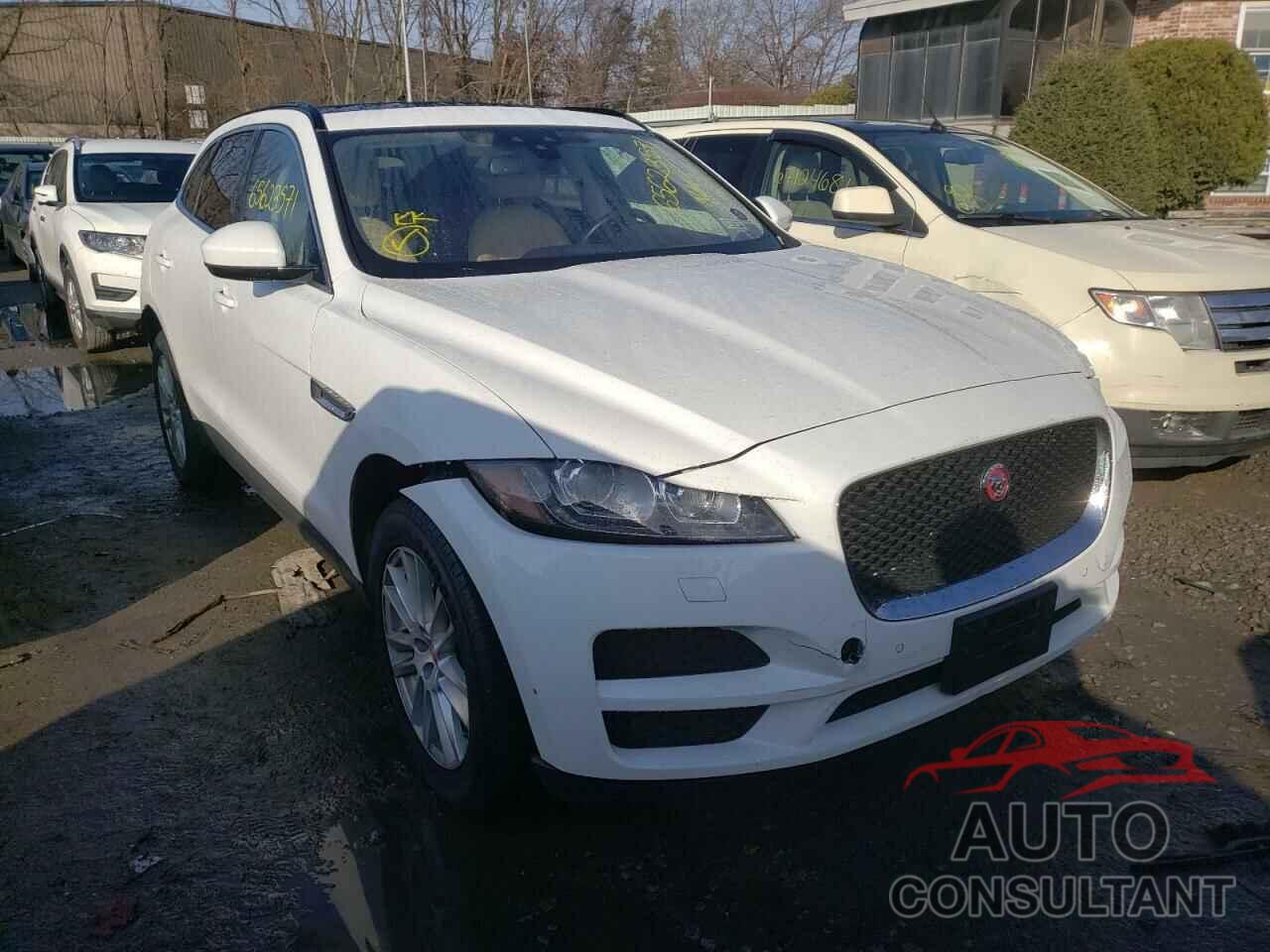 JAGUAR F-PACE 2017 - SADCK2BV7HA097901