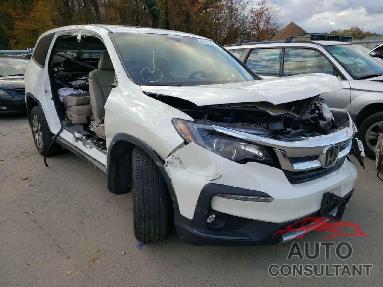 HONDA PILOT 2019 - 5FNYF6H54KB051994