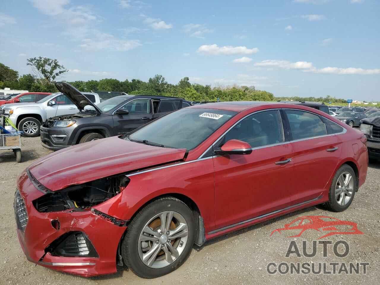 HYUNDAI SONATA 2019 - 5NPE34AF3KH762638