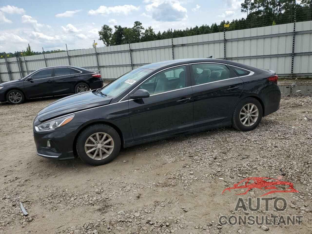 HYUNDAI SONATA 2019 - 5NPE24AF0KH818697