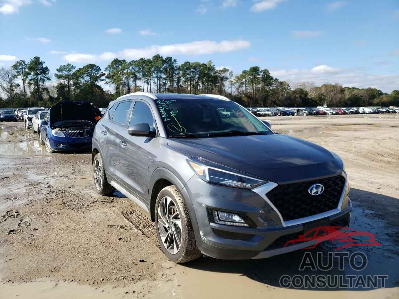 HYUNDAI TUCSON 2019 - KM8J33AL8KU895010