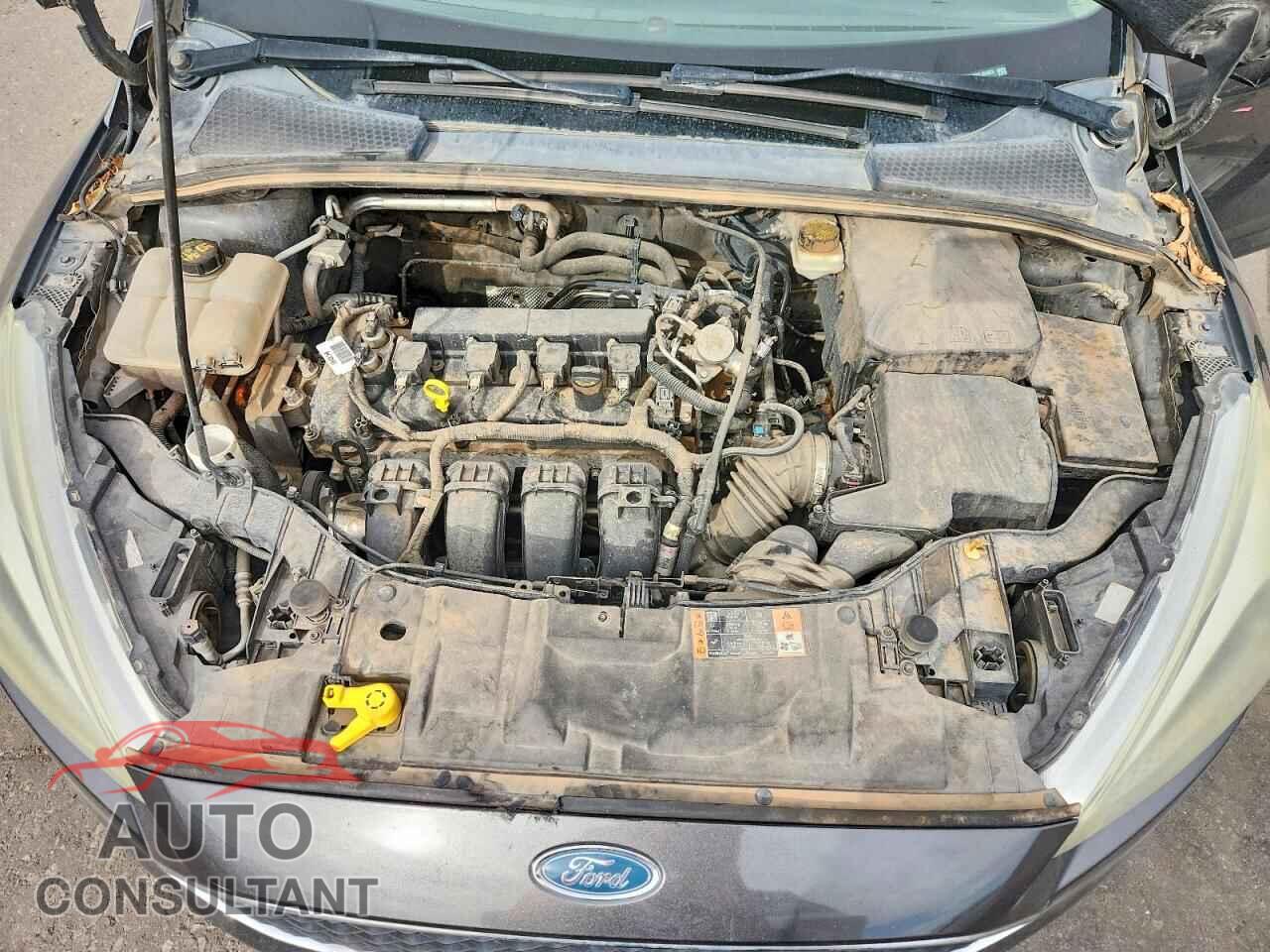 FORD FOCUS 2017 - 1FADP3F28HL204603