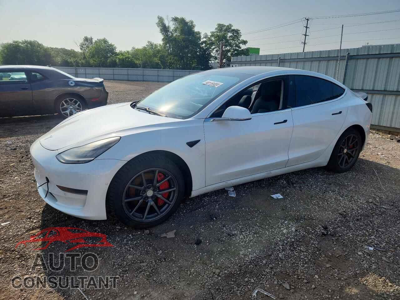 TESLA MODEL 3 2019 - 5YJ3E1EA4KF482966