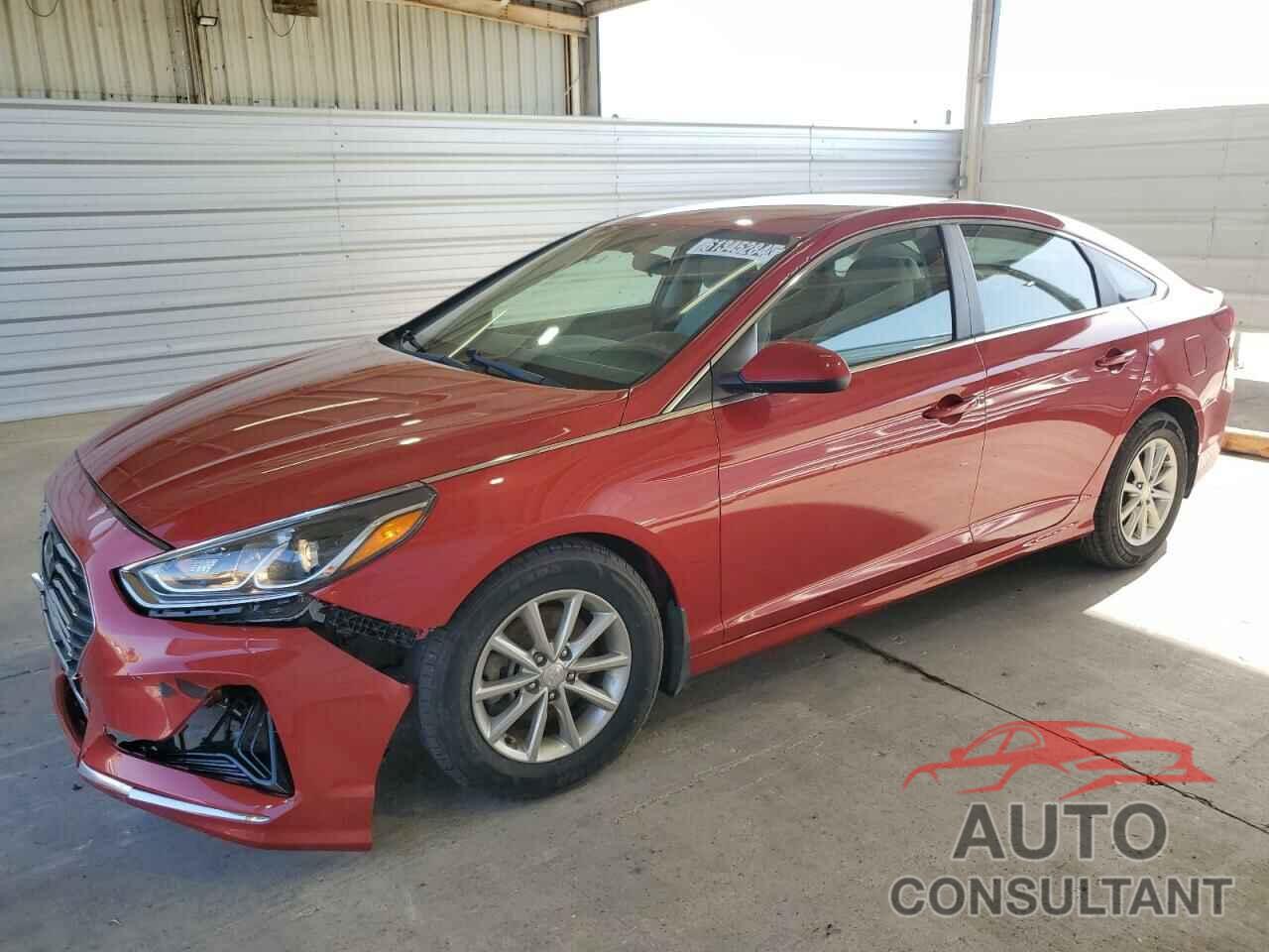 HYUNDAI SONATA 2019 - 5NPE24AF1KH798136