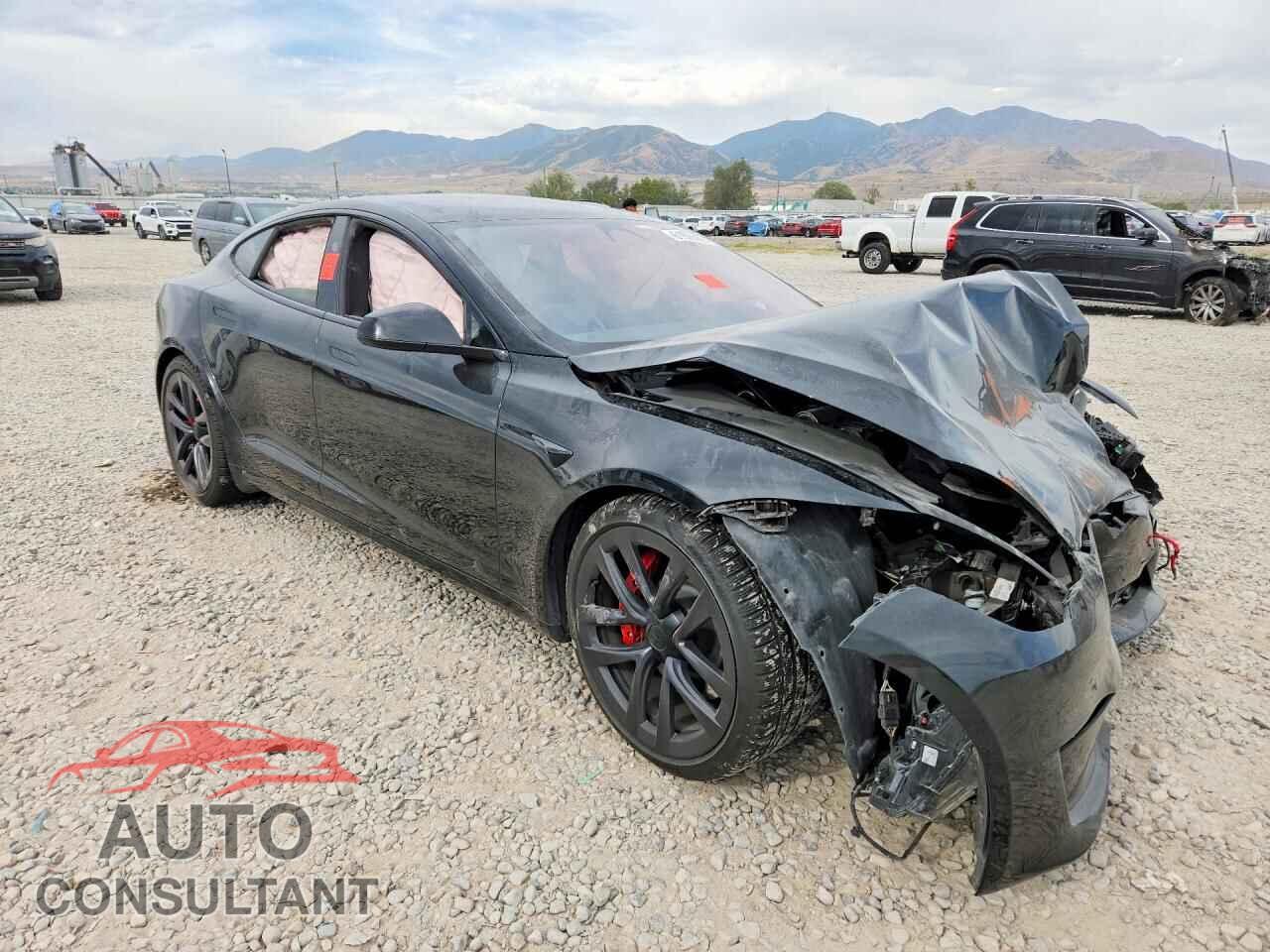 TESLA MODEL S 2024 - 5YJSA1E60RF542156