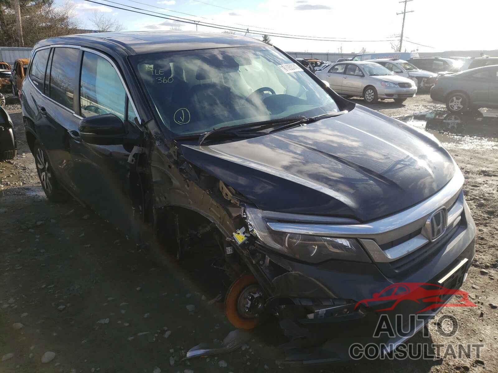 HONDA PILOT 2019 - 5FNYF6H58KB053246