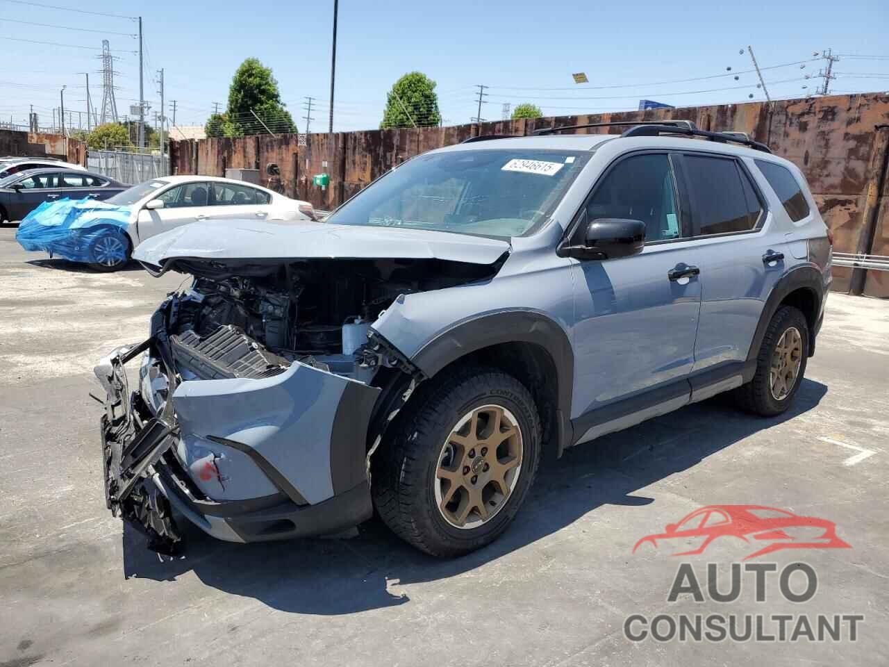 HONDA PILOT 2024 - 5FNYG1H61RB038185