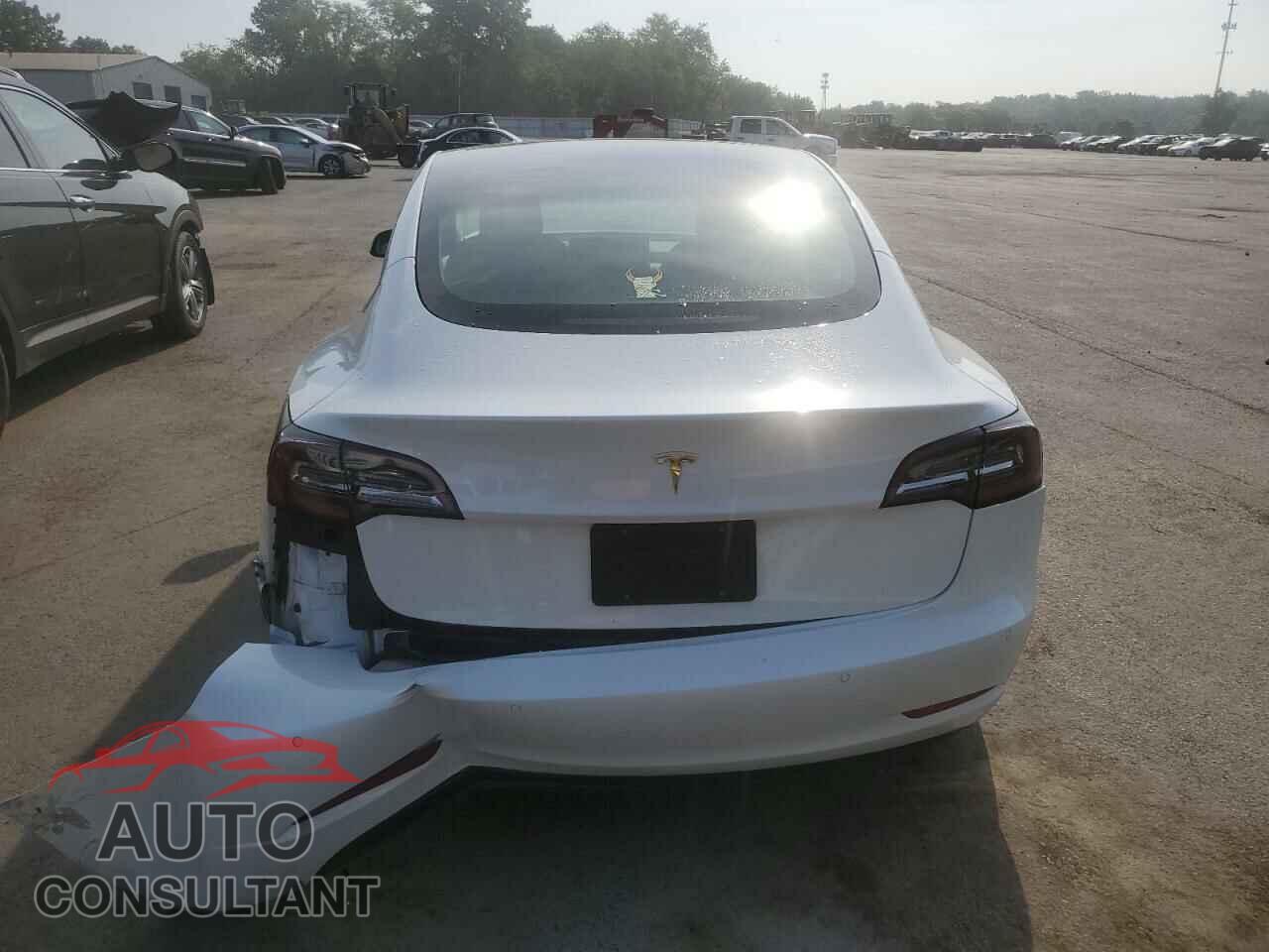 TESLA MODEL 3 2021 - 5YJ3E1EA3MF922551
