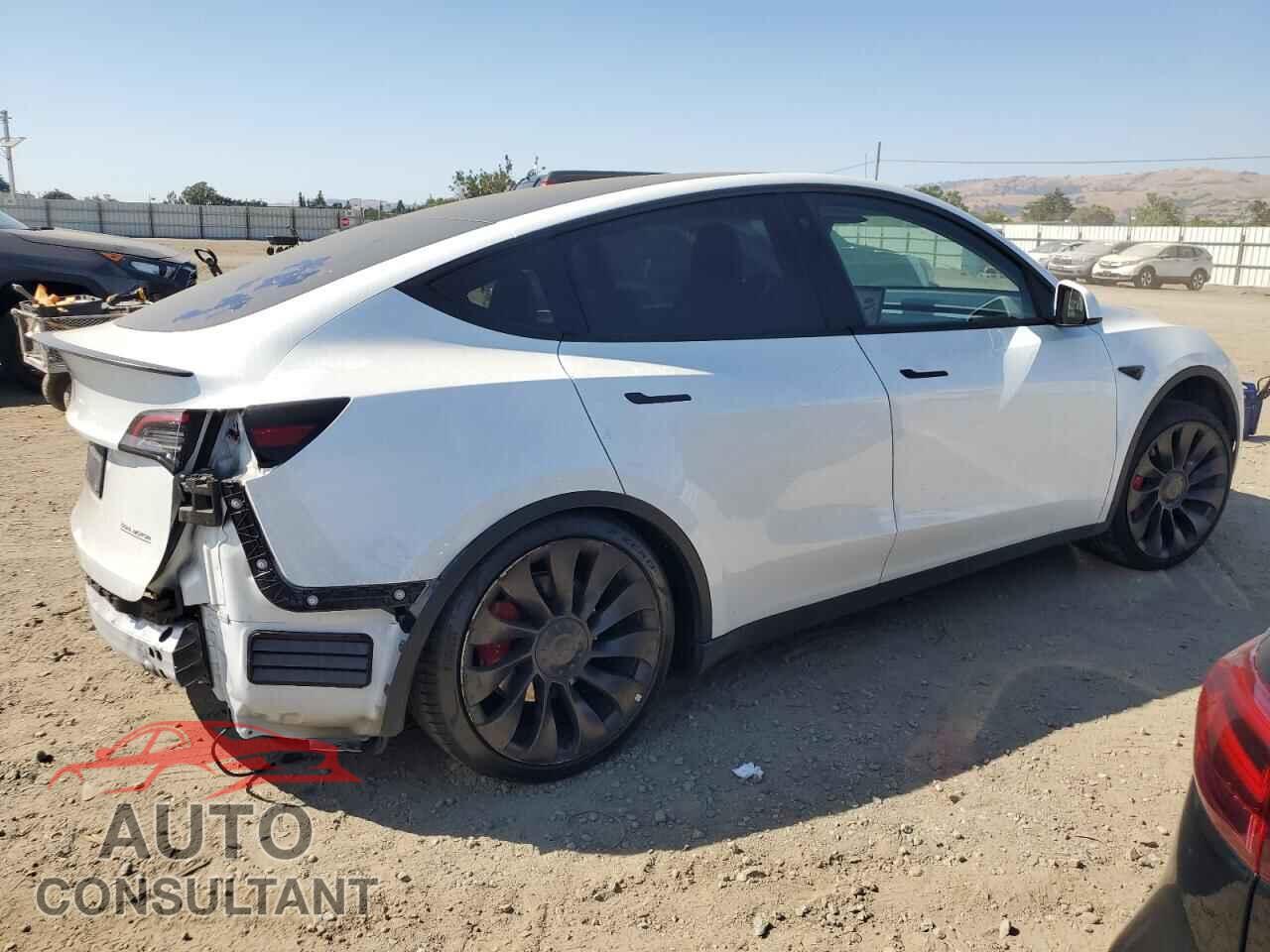 TESLA MODEL Y 2022 - 7SAYGDEF2NF490343
