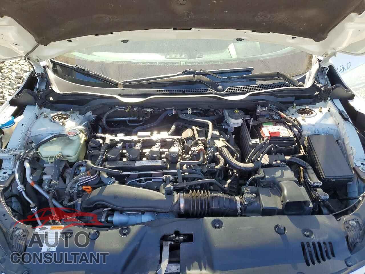 HONDA CIVIC 2019 - 2HGFC3A59KH752454