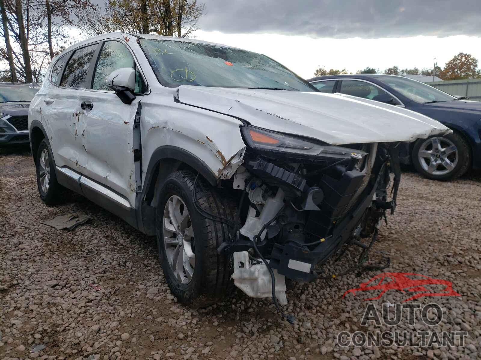 HYUNDAI SANTA FE 2019 - 5NMS2CAD3KH113420