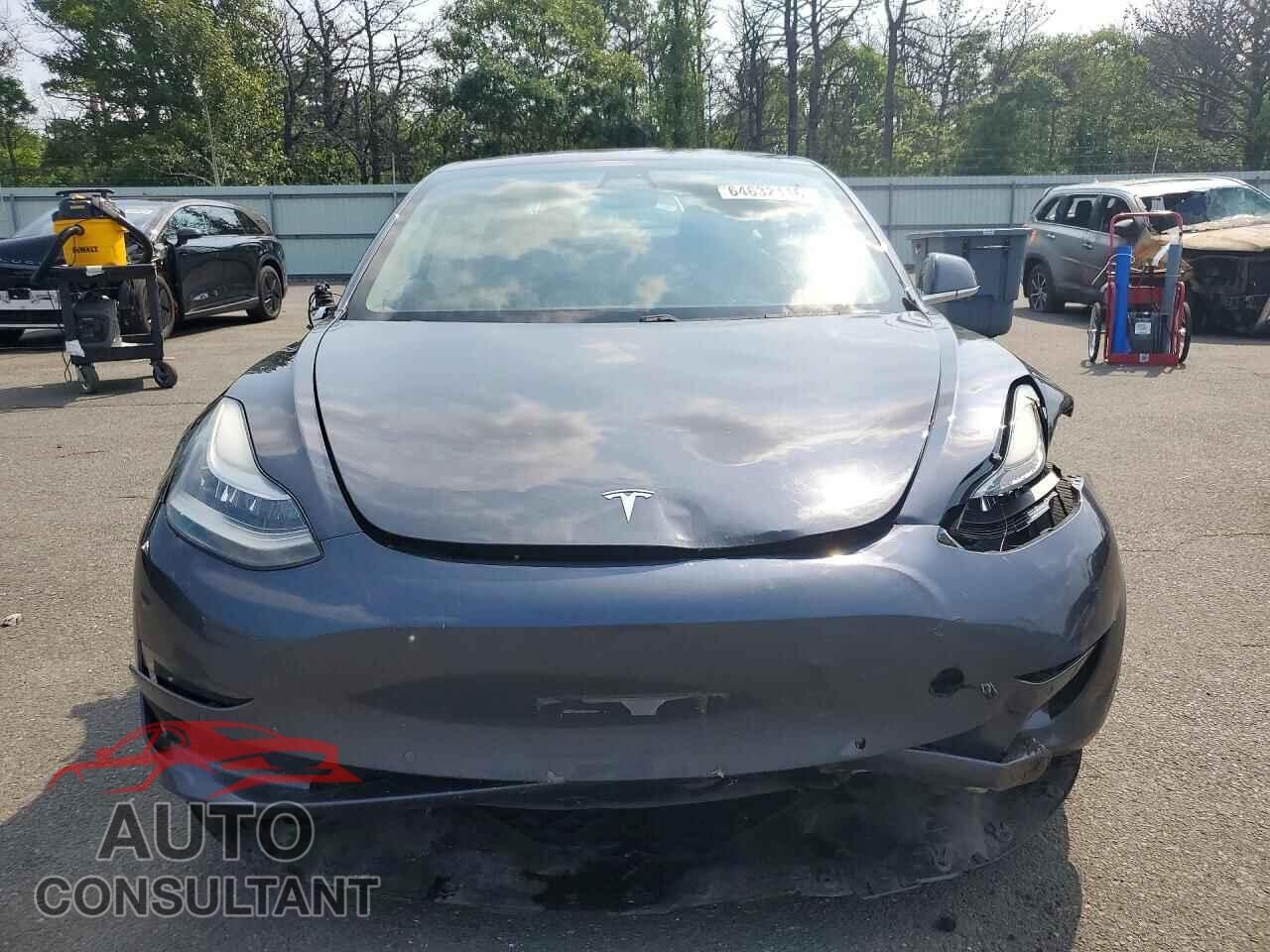 TESLA MODEL 3 2019 - 5YJ3E1EB3KF205704