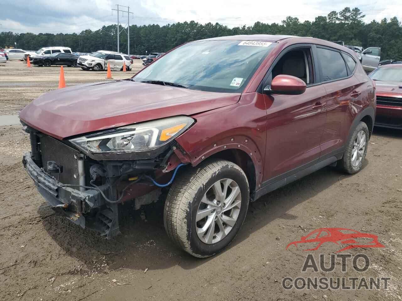 HYUNDAI TUCSON 2019 - KM8J23A49KU915941