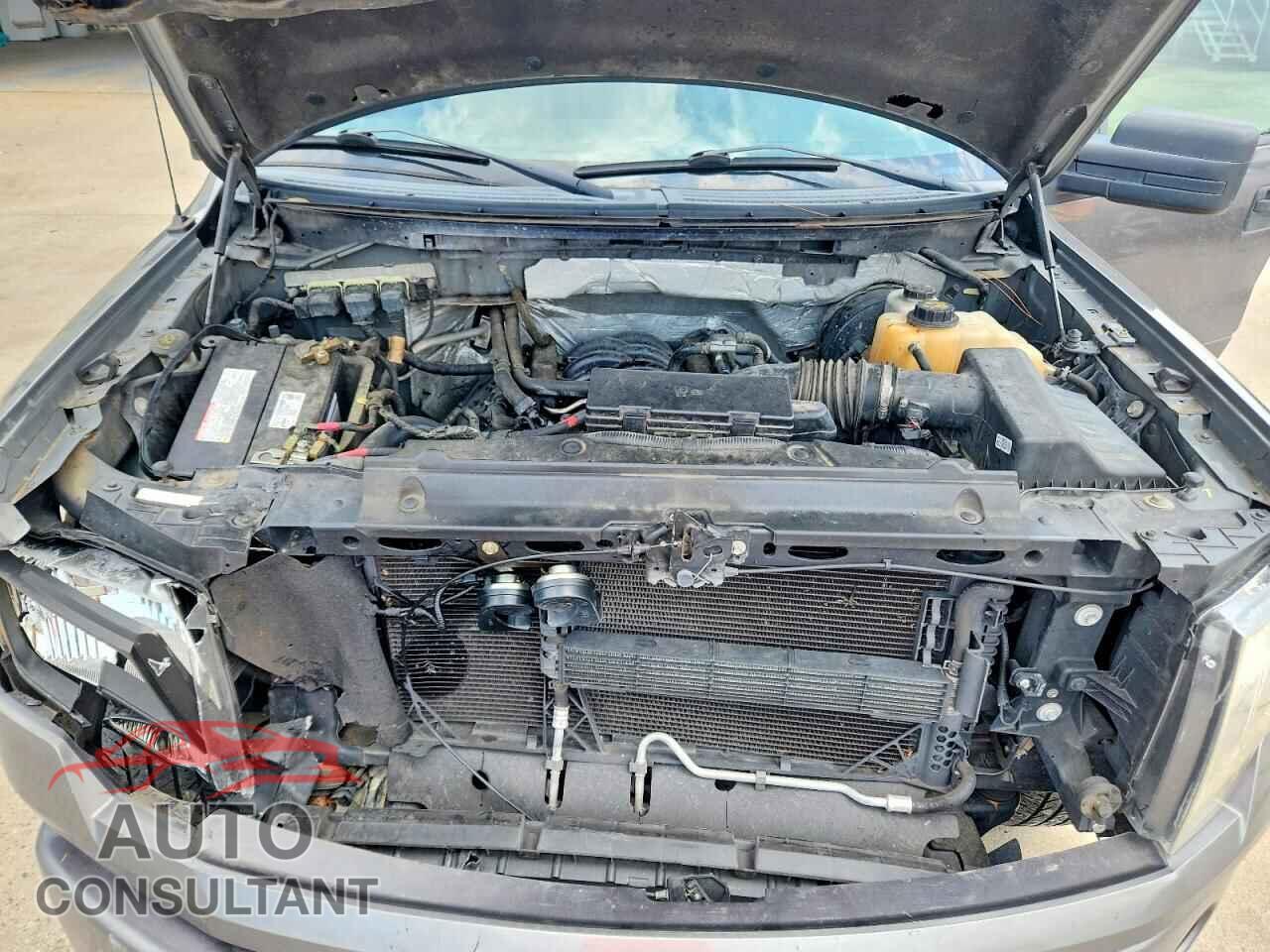 FORD F150 2013 - 1FTFX1CF9DFD93530