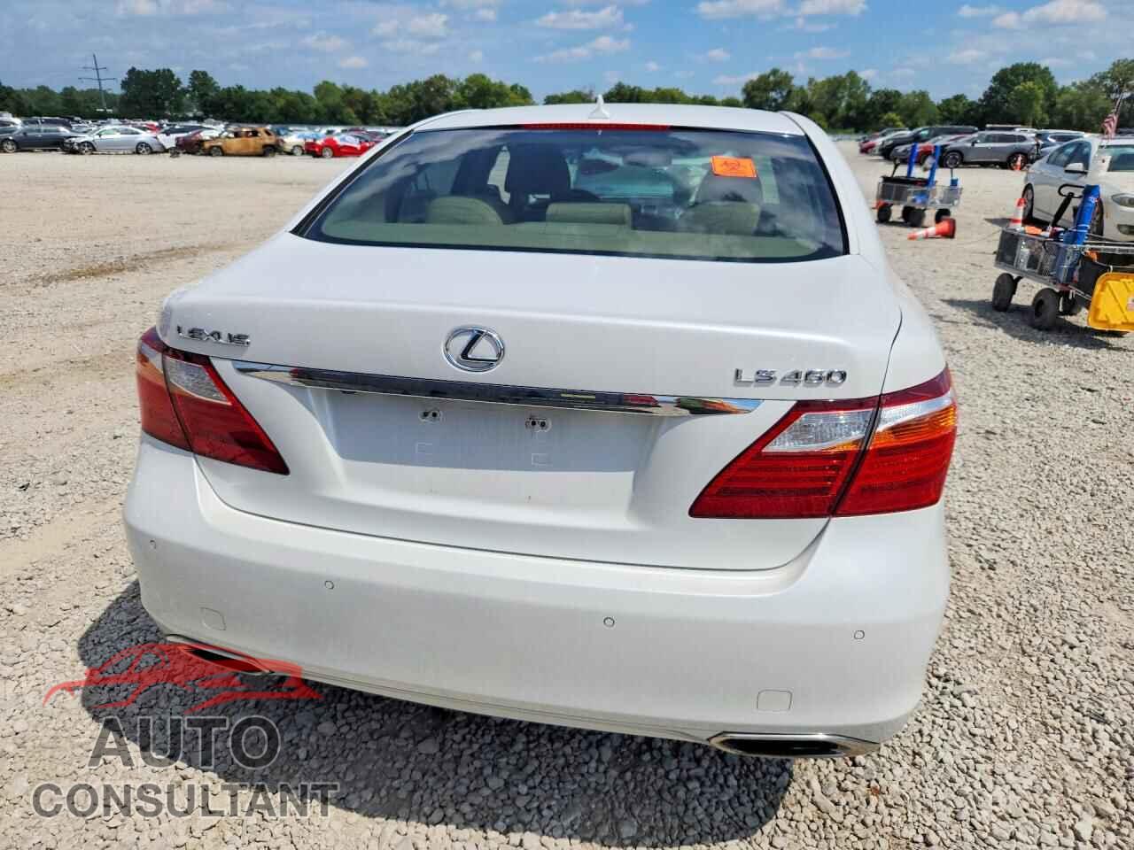 LEXUS LS460 2010 - JTHBL5EF0A5092031
