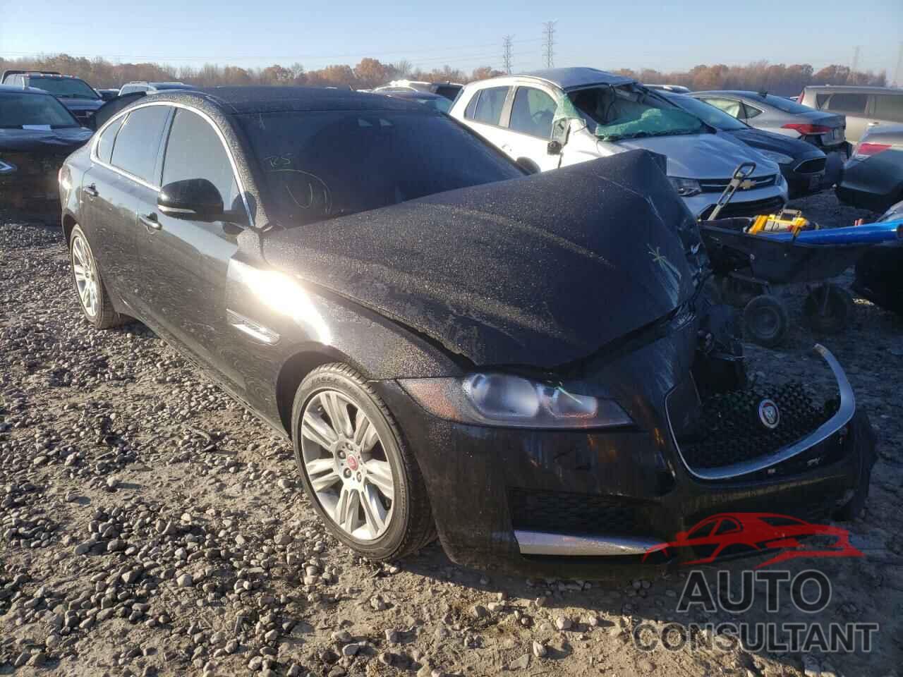 JAGUAR XF 2016 - SAJBD4BV0GCY11269