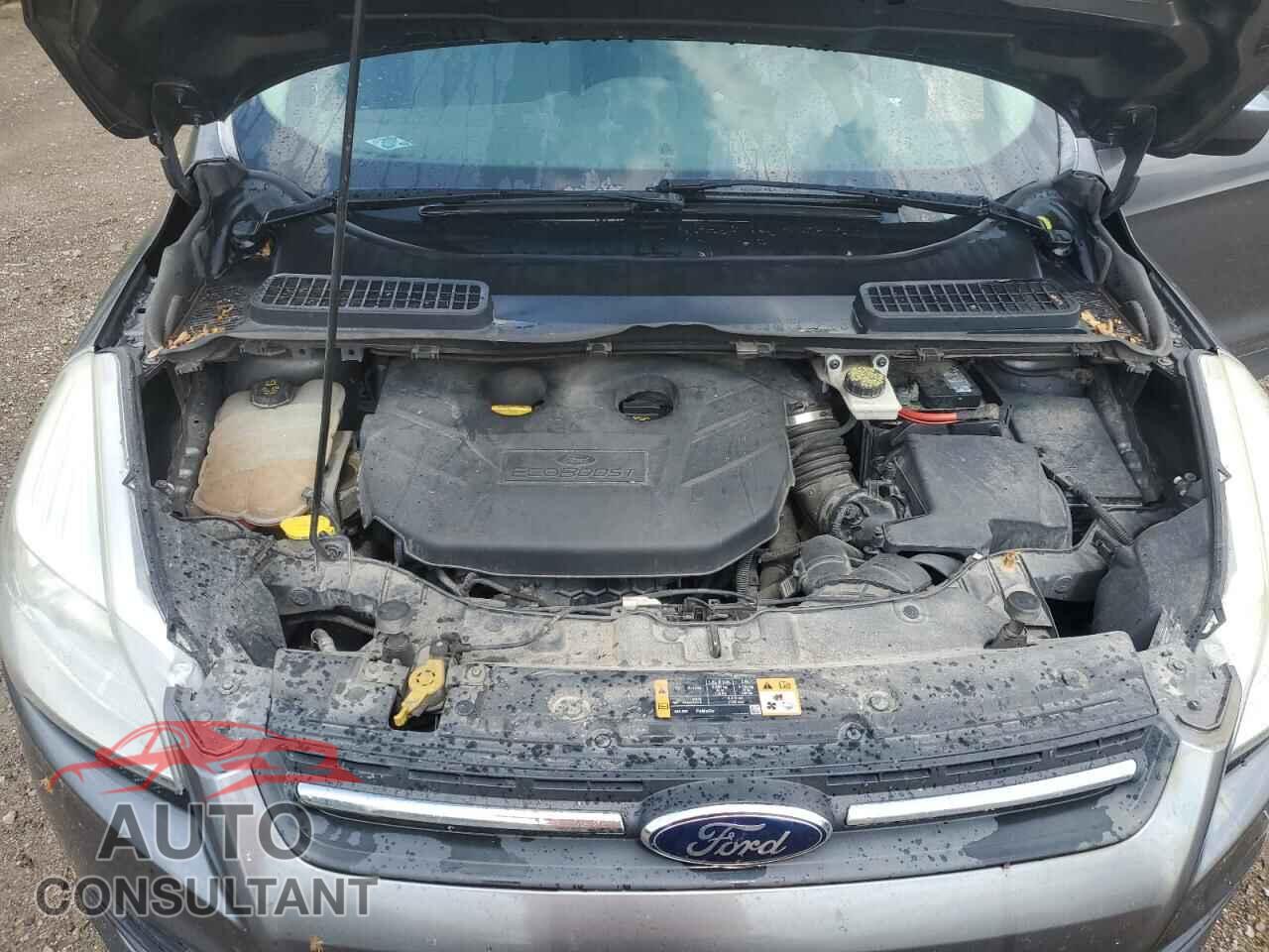 FORD ESCAPE 2014 - 1FMCU9G98EUC70552