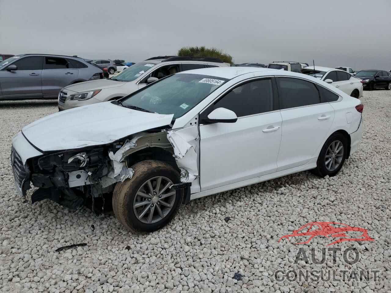 HYUNDAI SONATA 2019 - 5NPE24AF6KH796995