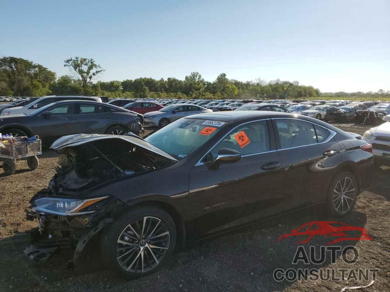 LEXUS ES300 2024 - 58ADA1C1XRU047717