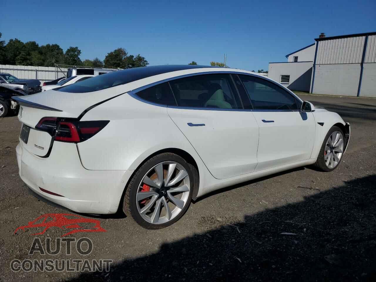 TESLA MODEL 3 2019 - 5YJ3E1EB1KF487342