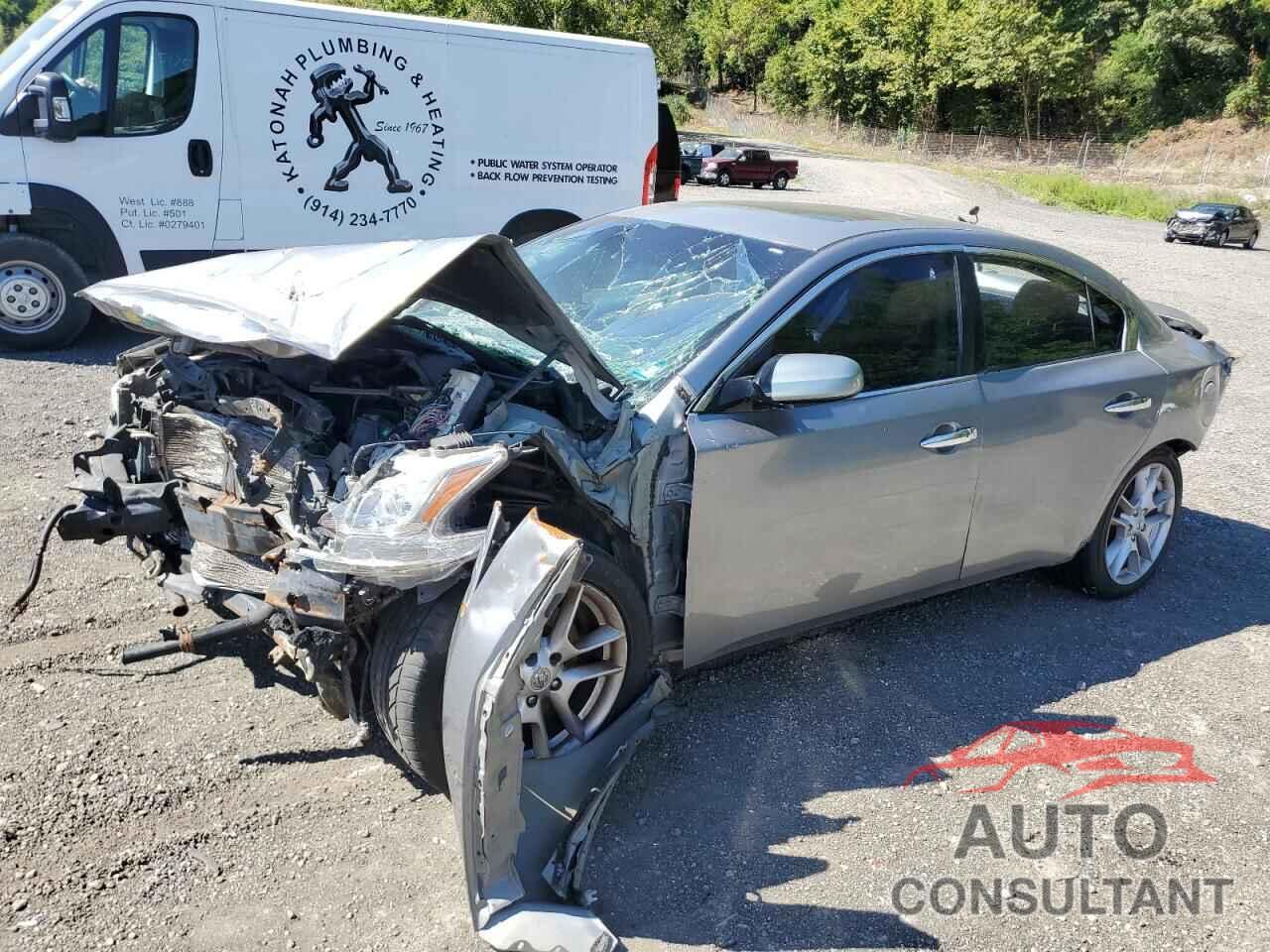 NISSAN MAXIMA 2009 - 1N4AA51E29C803404