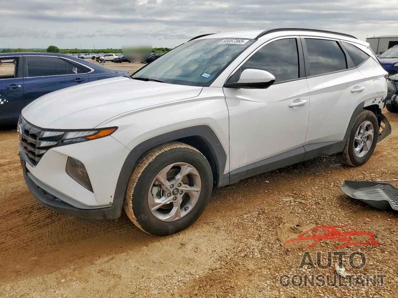 HYUNDAI TUCSON 2024 - 5NMJB3DE7RH321438