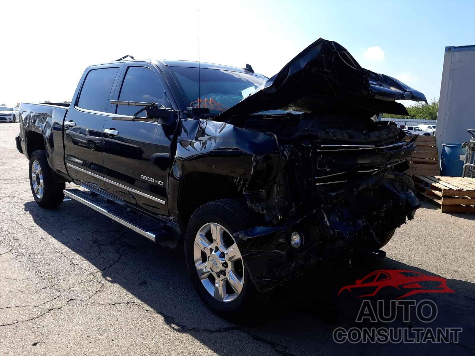 CHEVROLET SILVERADO 2019 - 1GC1KTEY3KF109700