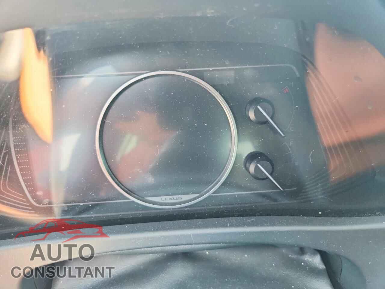 LEXUS ALL OTHER 2019 - JTHY3JBH2K2016161
