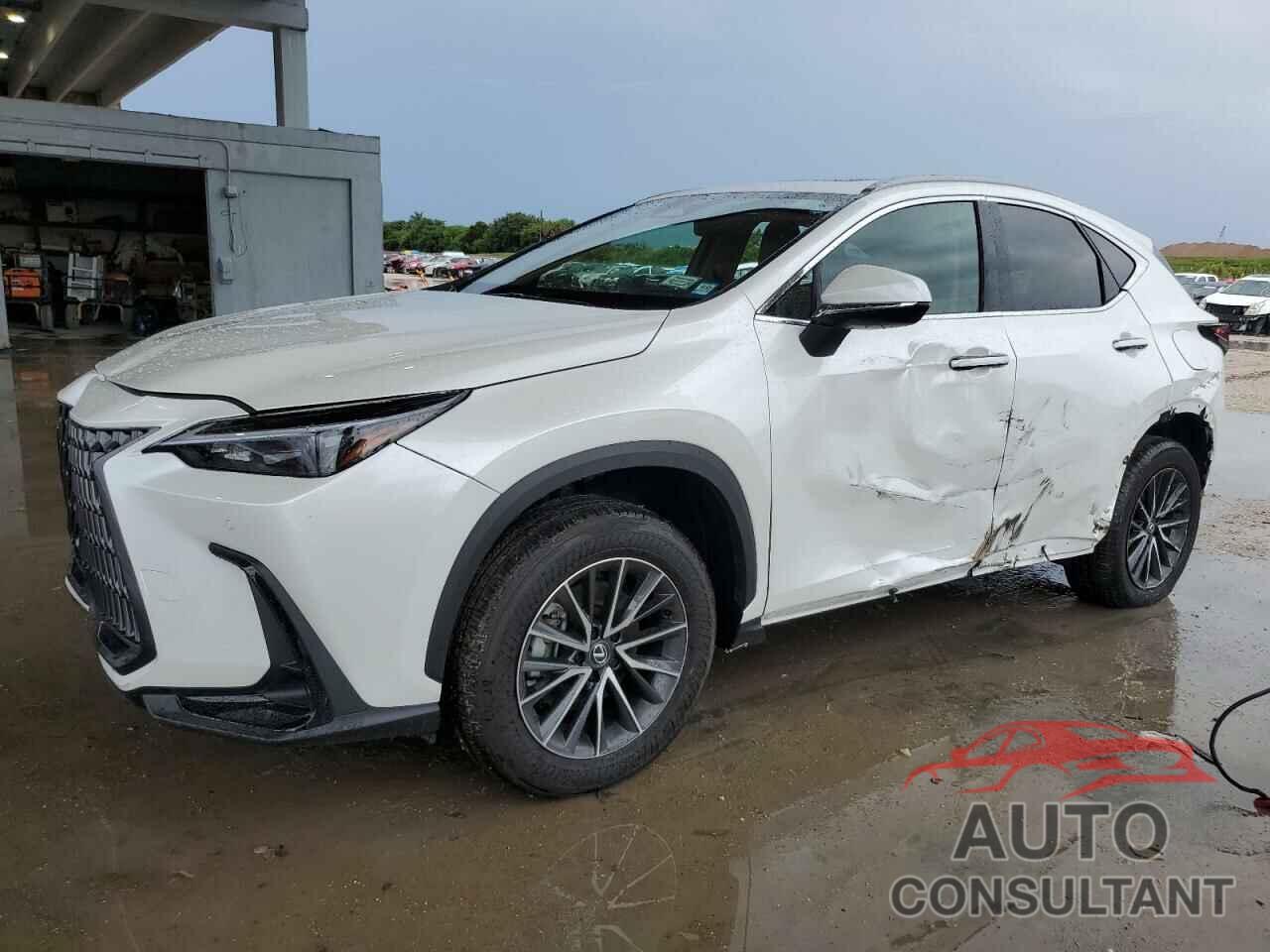 LEXUS NX 350 BAS 2025 - 2T2AGCEZ4SC075703