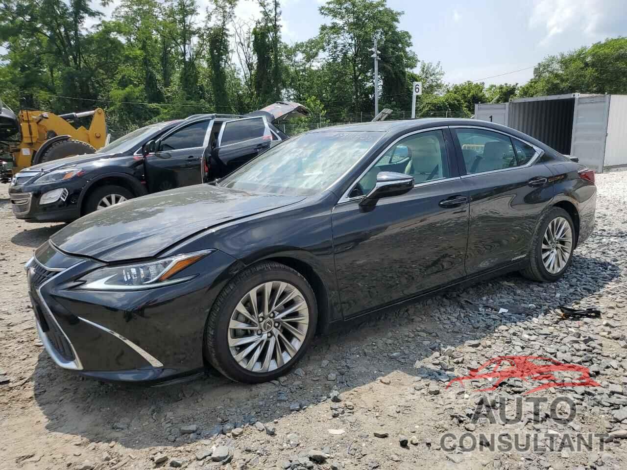 LEXUS ES300 2022 - 58AEA1C13NU017859