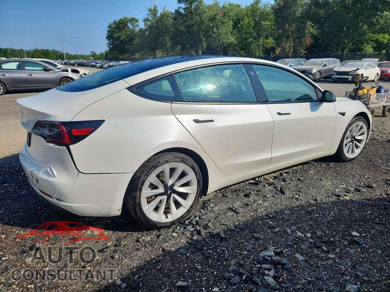 TESLA MODEL 3 2023 - 5YJ3E1EA3PF435290